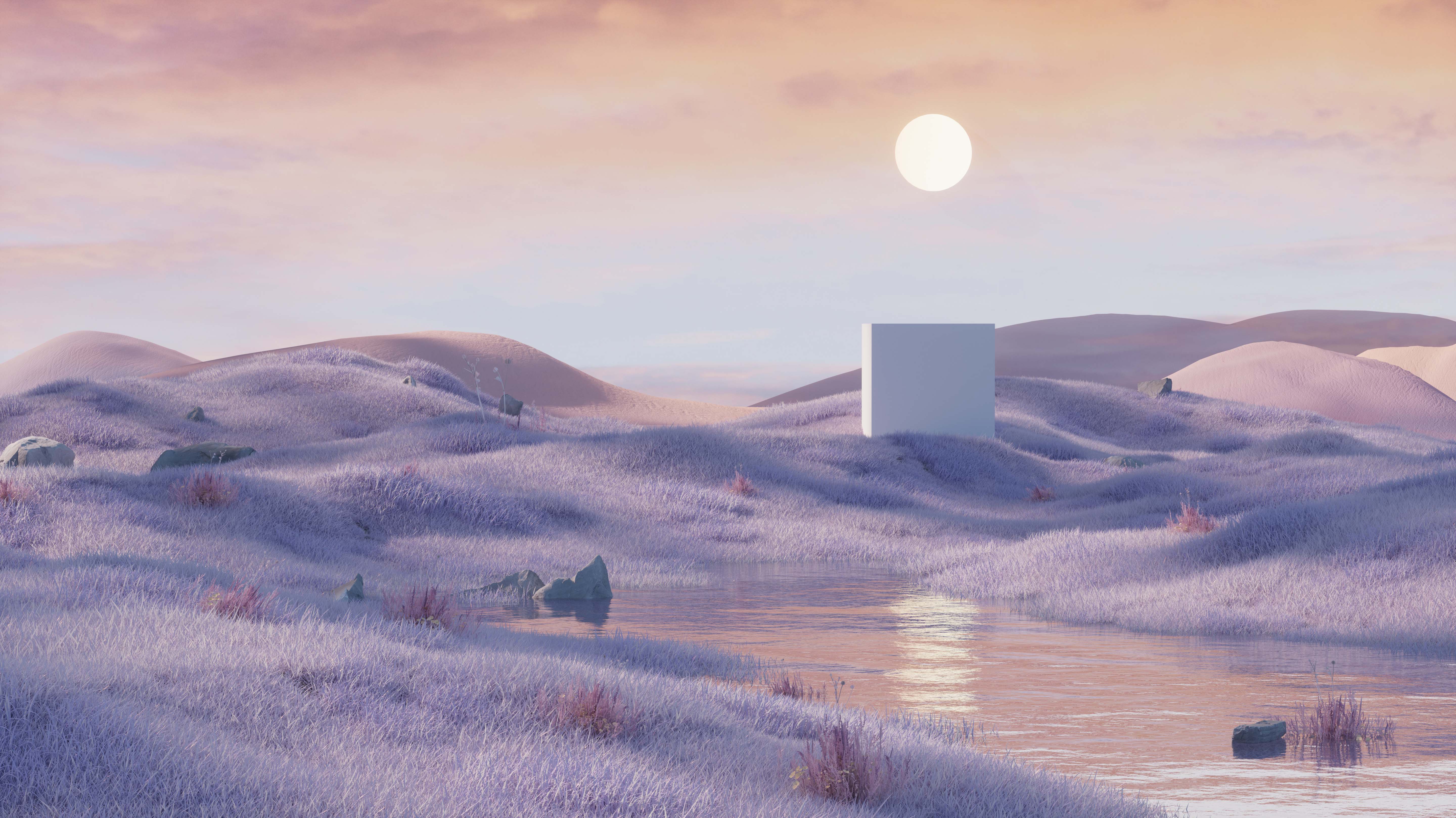 005.jpg