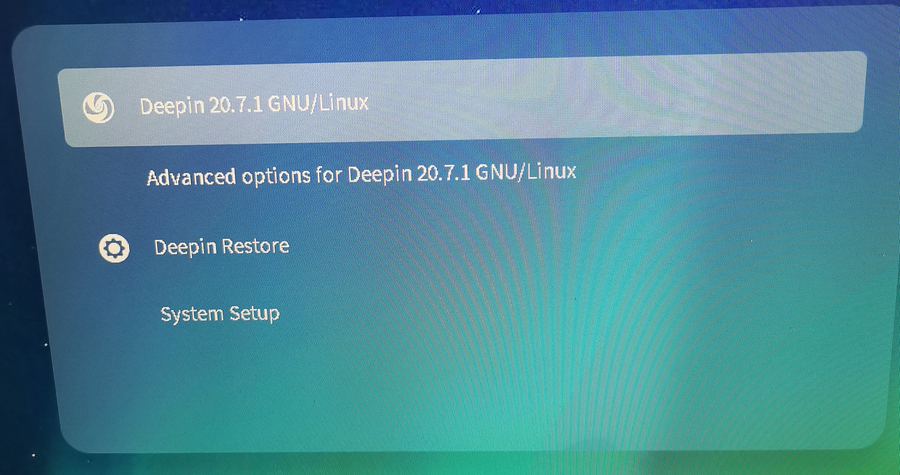 Lumii_20221118_085548594.jpg