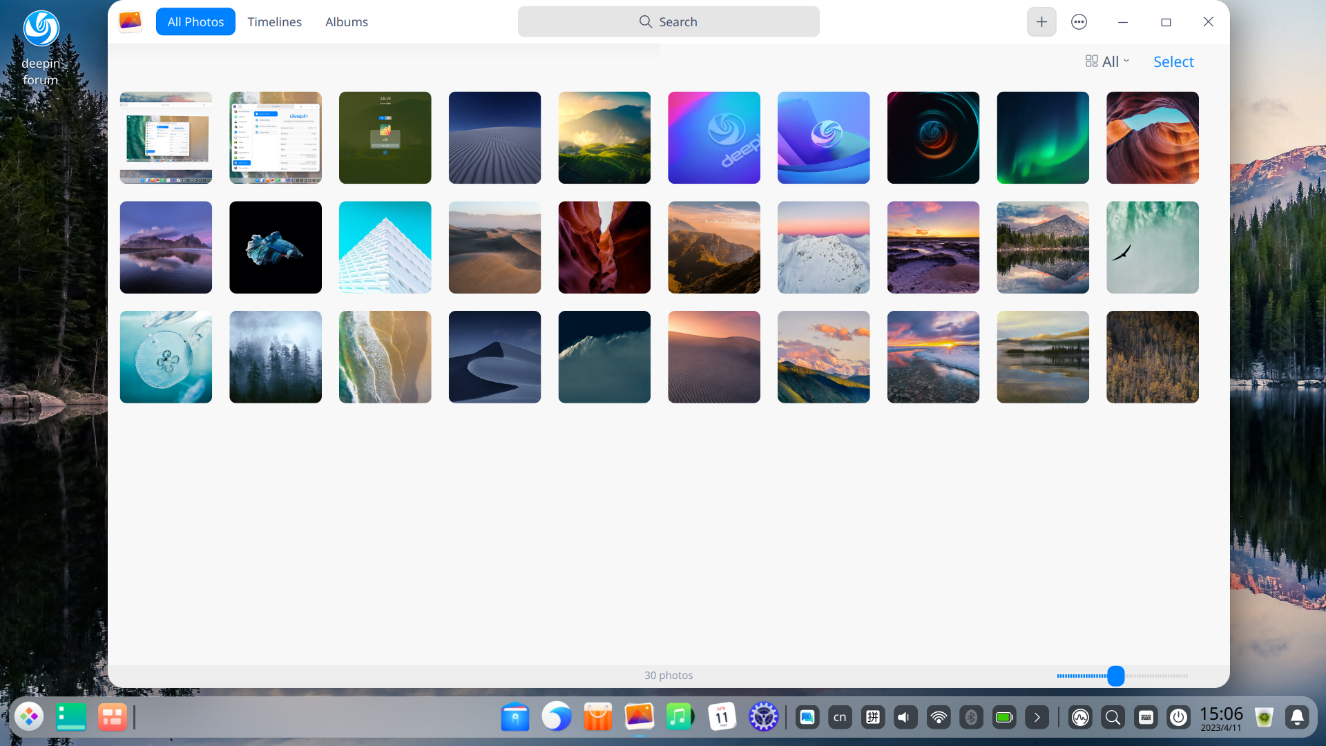 album.png