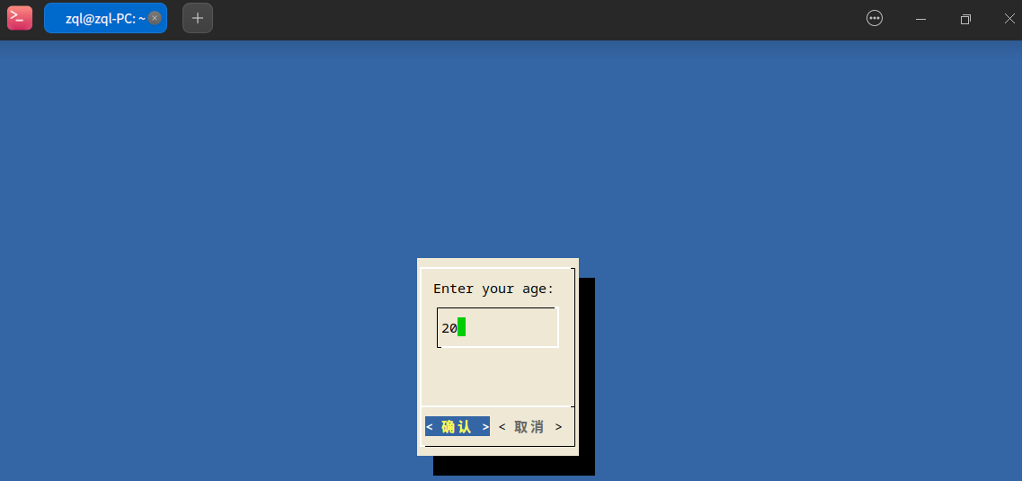 image-20231229171532833.png