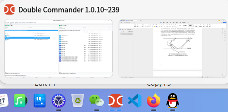 wps-doublecommader.png