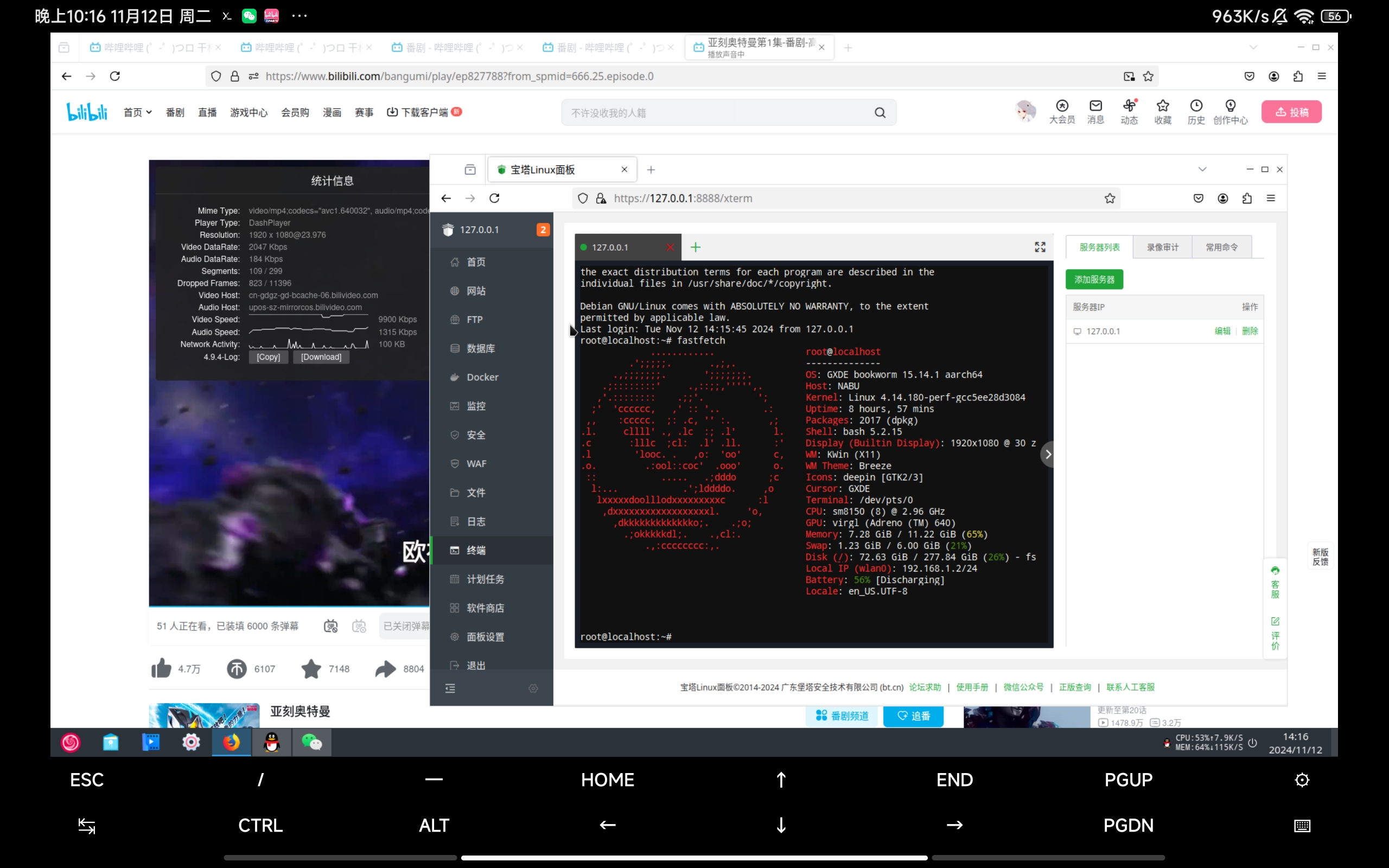 Screenshot_2024-11-12-22-16-40-378_com.termux.x11.jpg