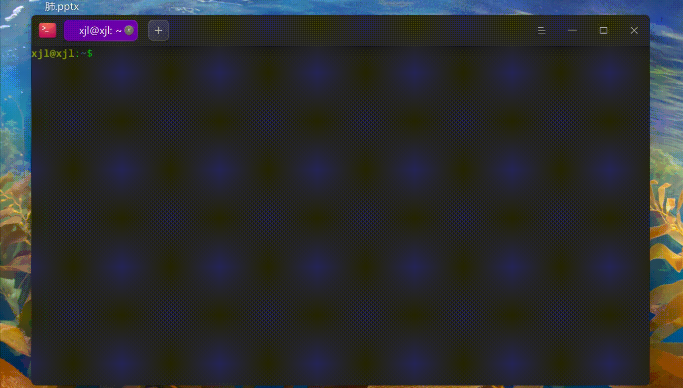 录屏_选择区域_20241203183027.gif