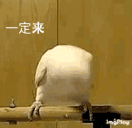 1734318956-80947-ea6175772ad62f37cedc9dc703cdabbd.gif
