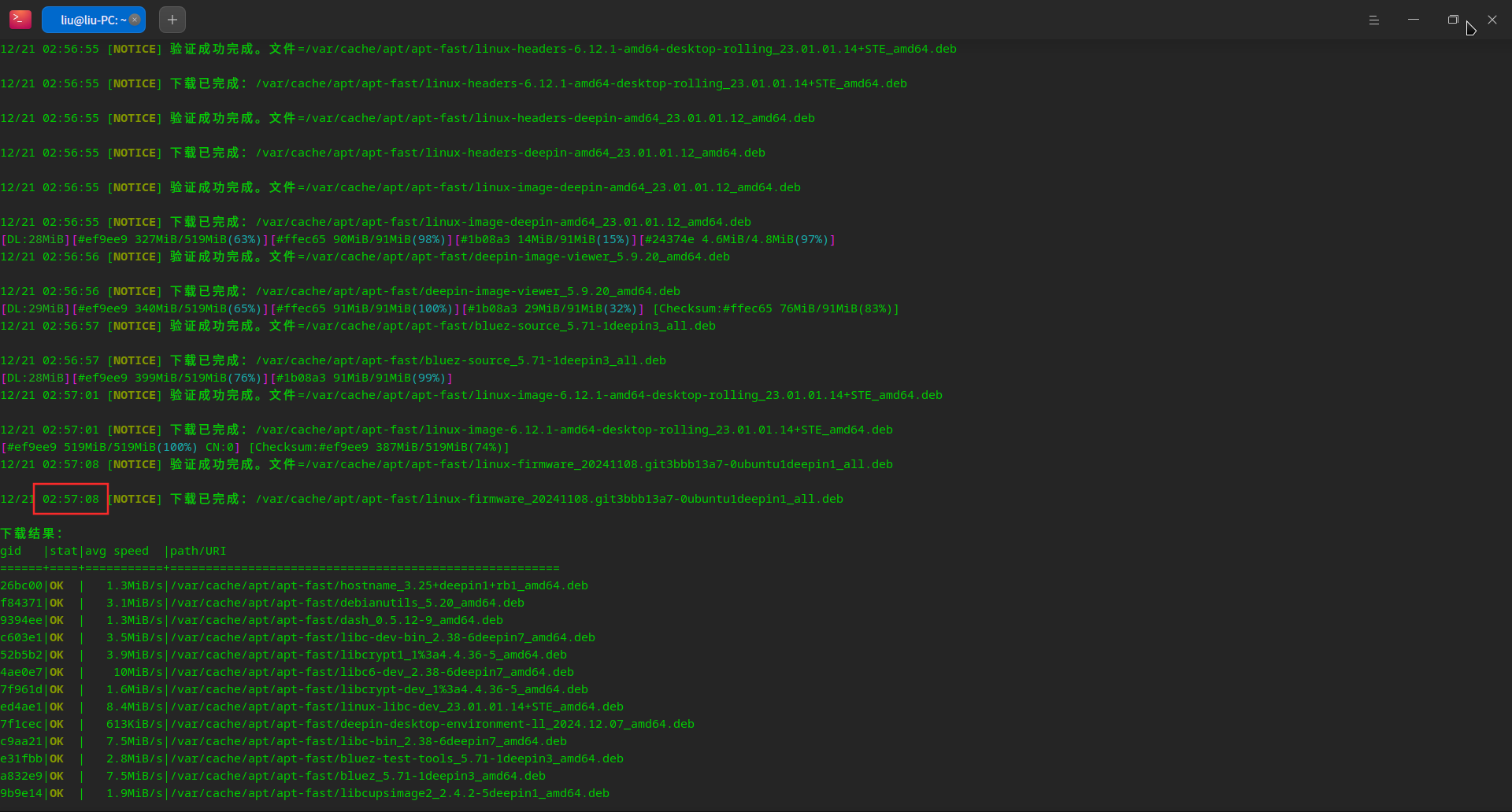 截图_deepin-terminal_20241221030822.png