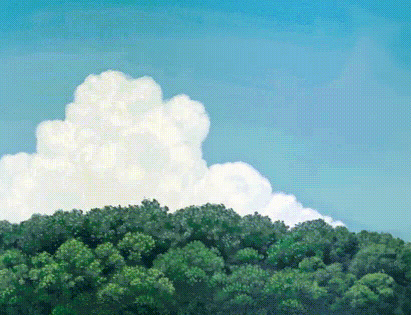 录屏_选择区域_20250112130257.gif