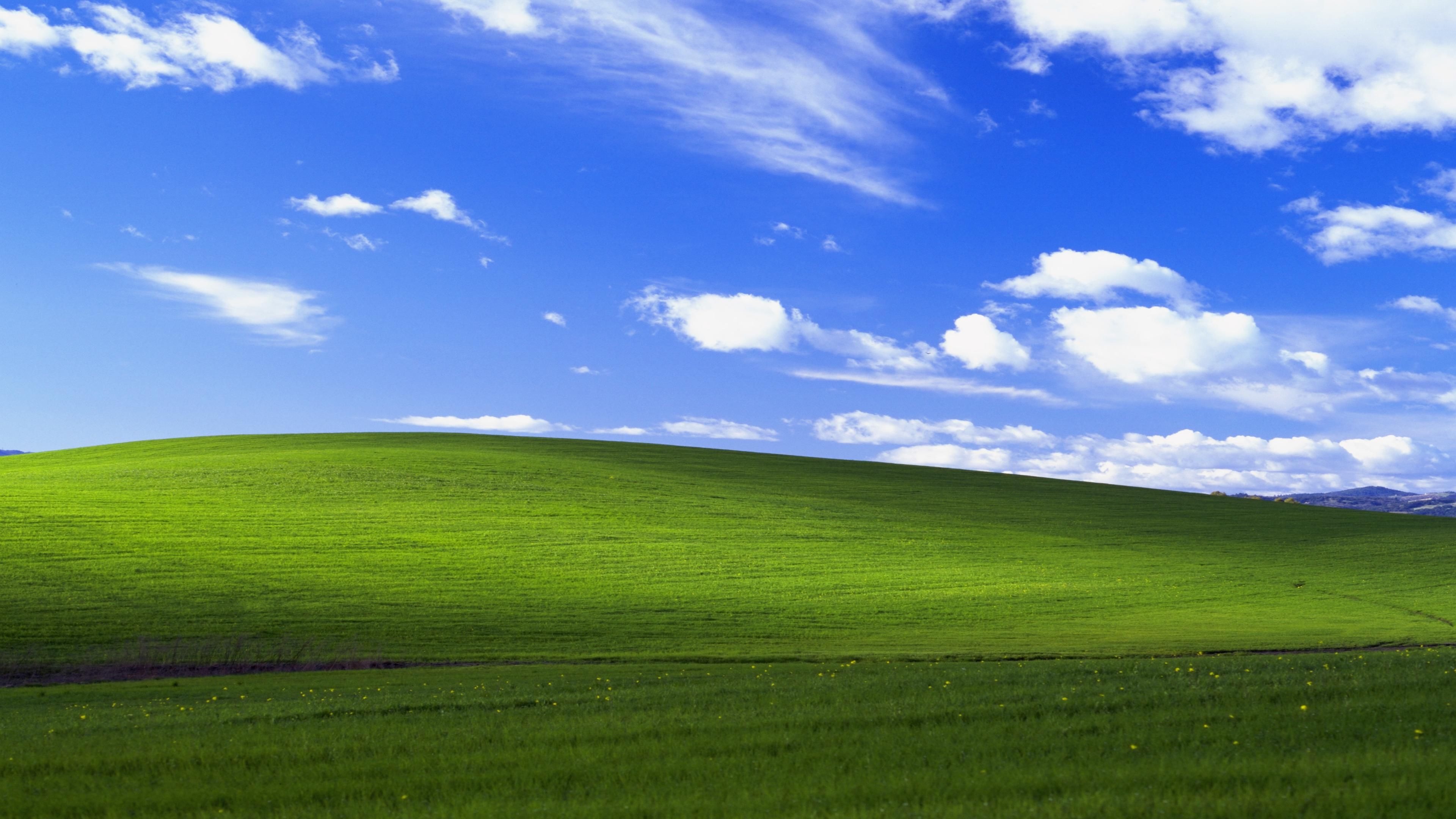 【哲风壁纸】Windows-清新.png
