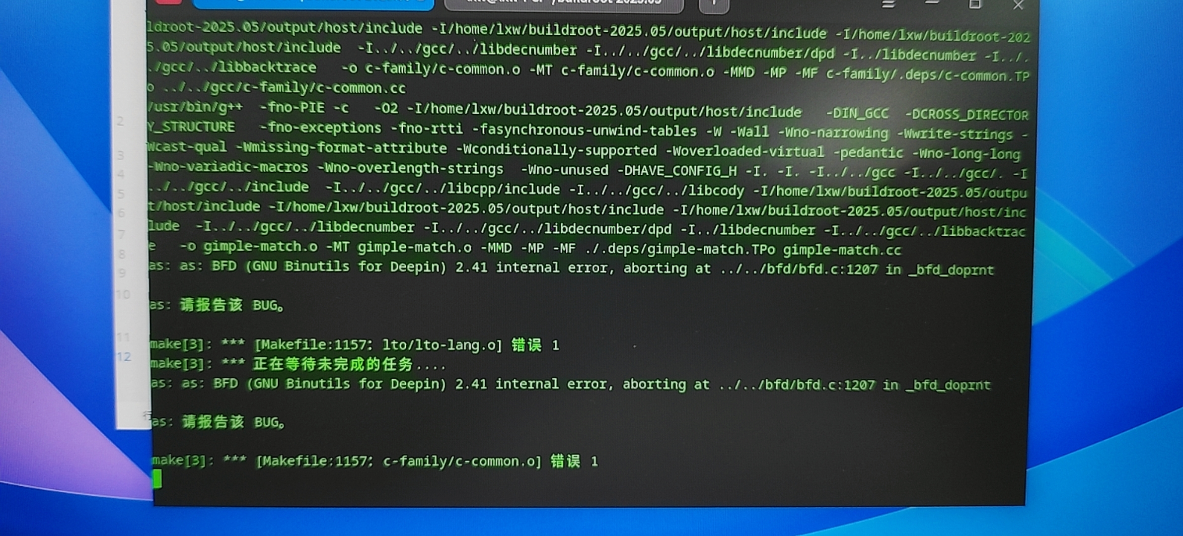 deepin-buildroot-bug.jpg