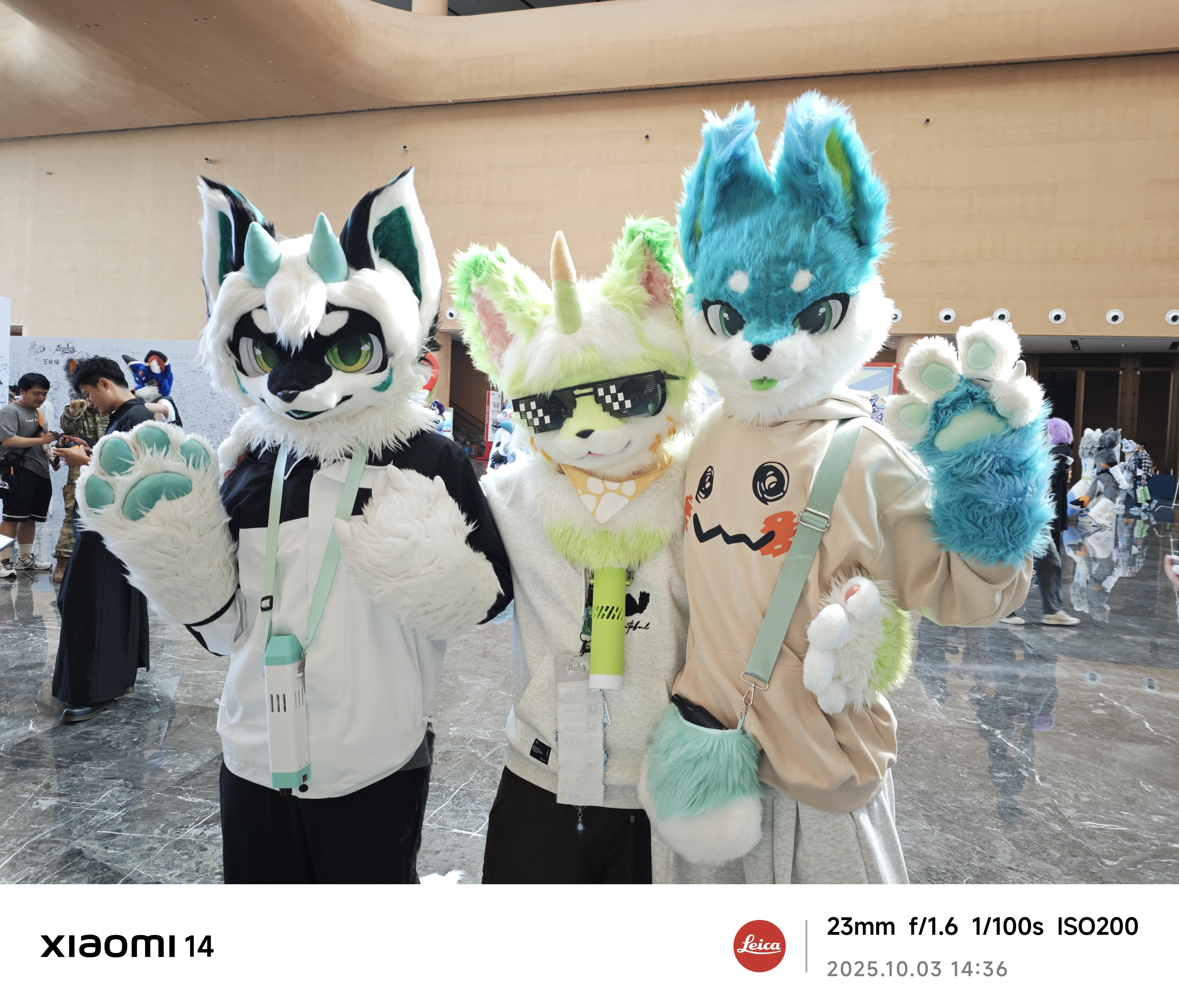IMG_20251003_143646.jpg