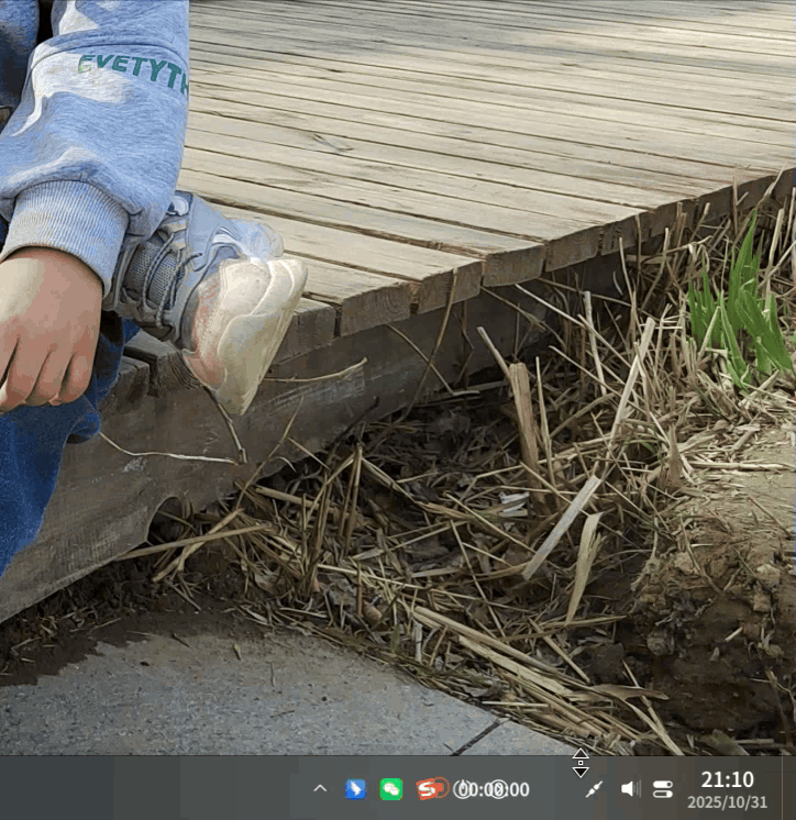 录屏_选择区域_20251031211003.gif