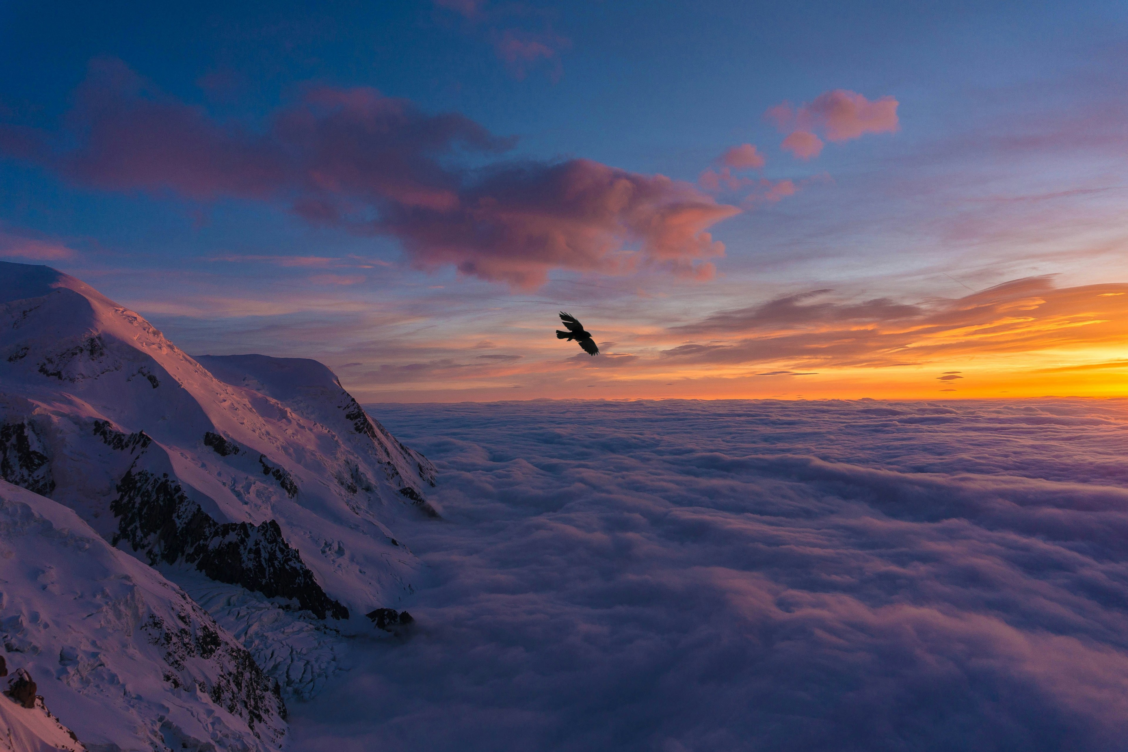 Flying-by-Sylvain-Mauroux.jpg
