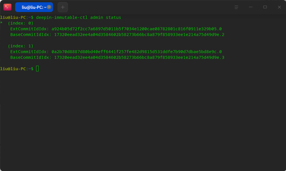 截图_deepin-terminal_20251217214841.png