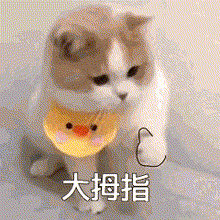 349A293713E98E29DBD5754974ACBD0D.gif