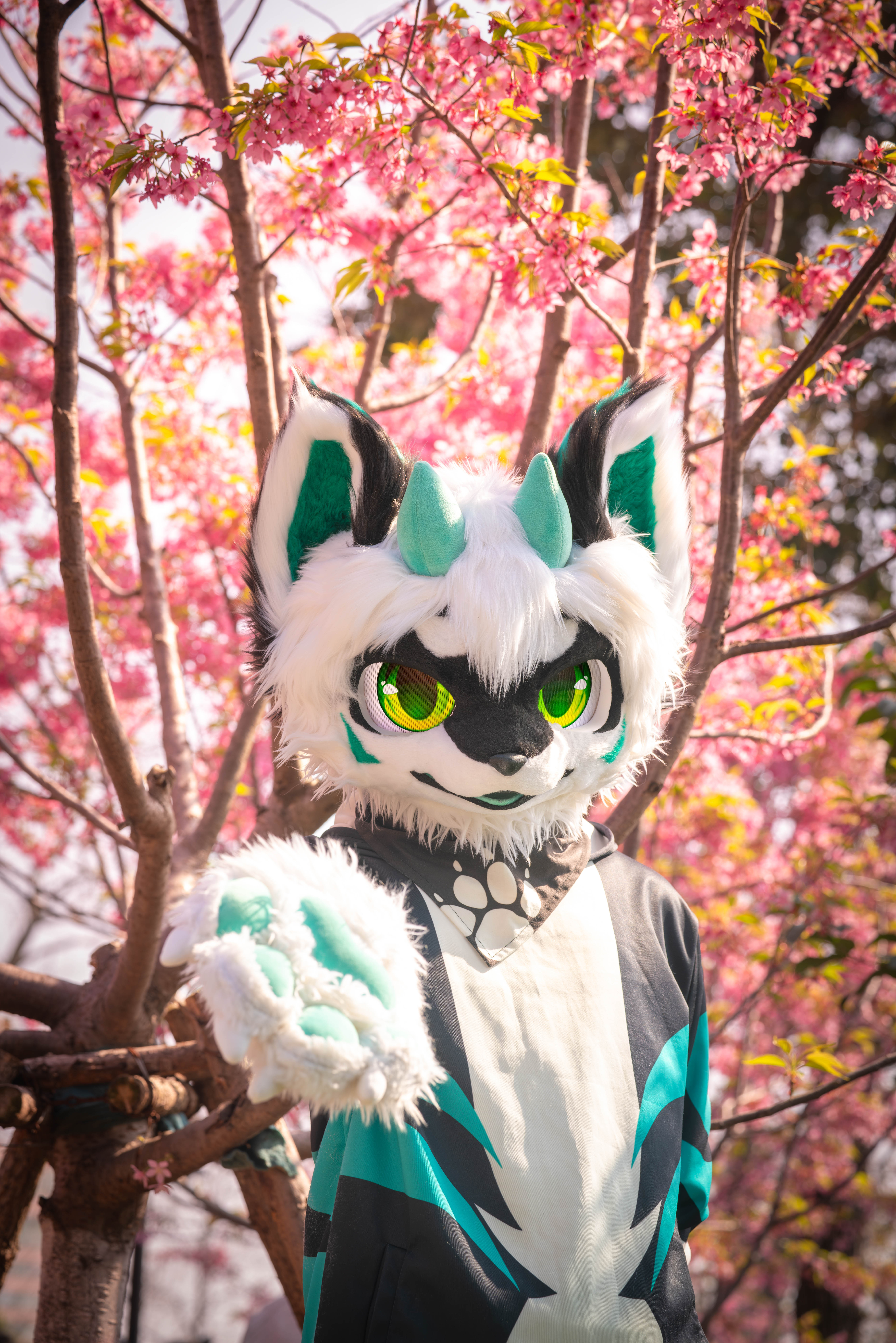 zebwqfox-05521-edited.jpg